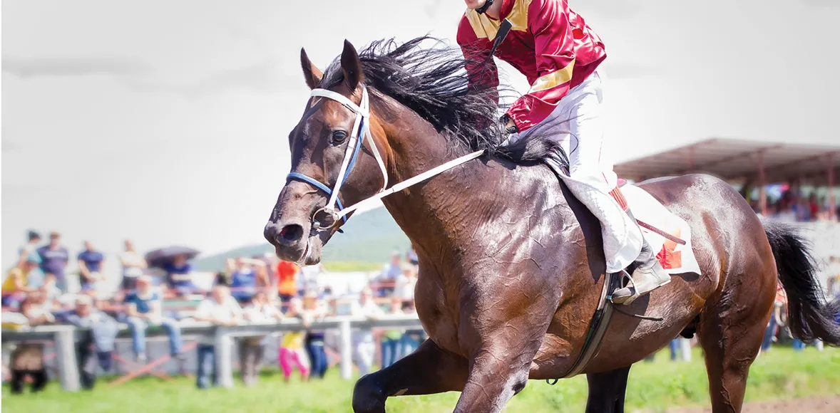 Memorable Moments in Kentucky Derby History